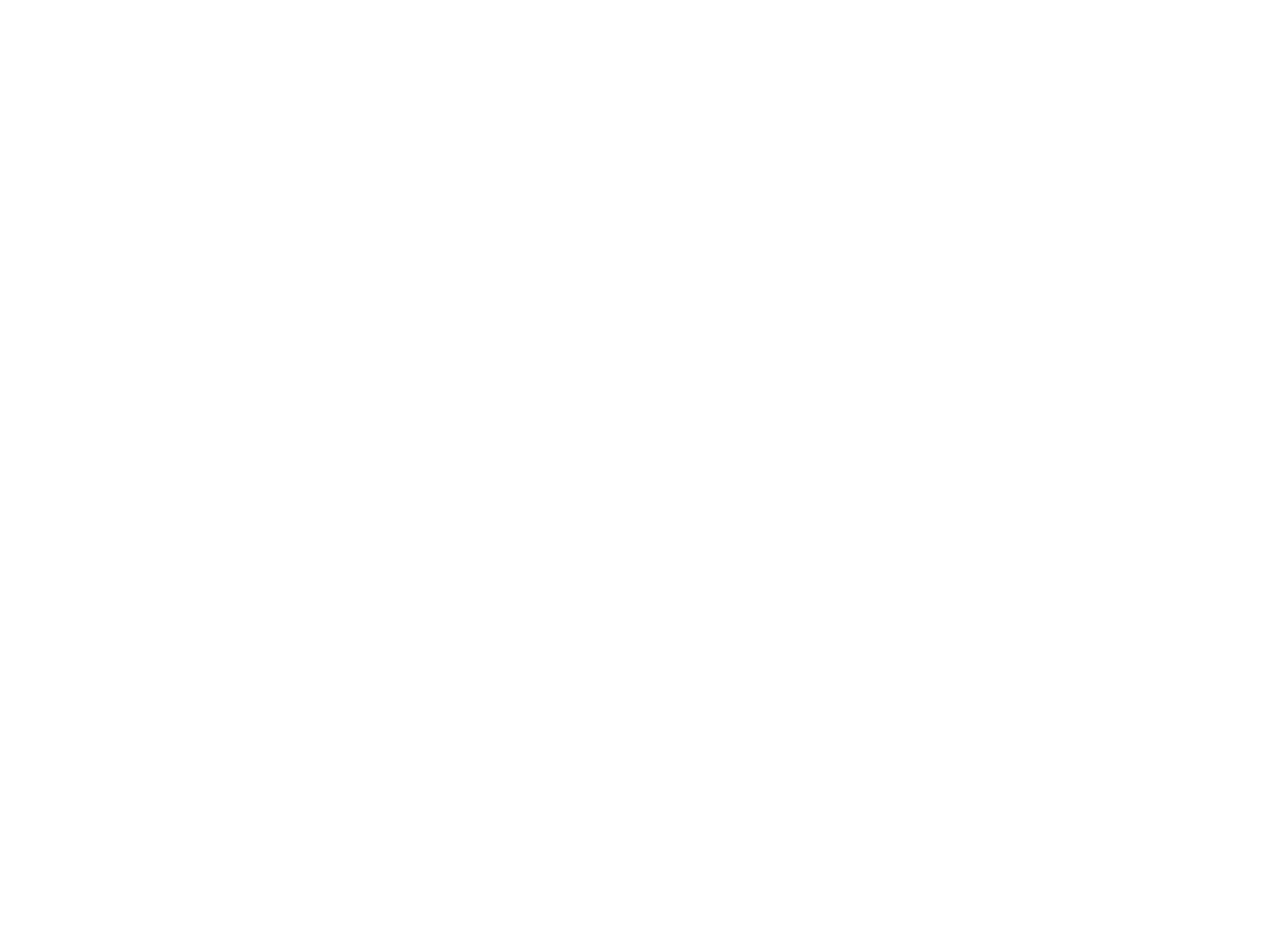 YES NED Logo