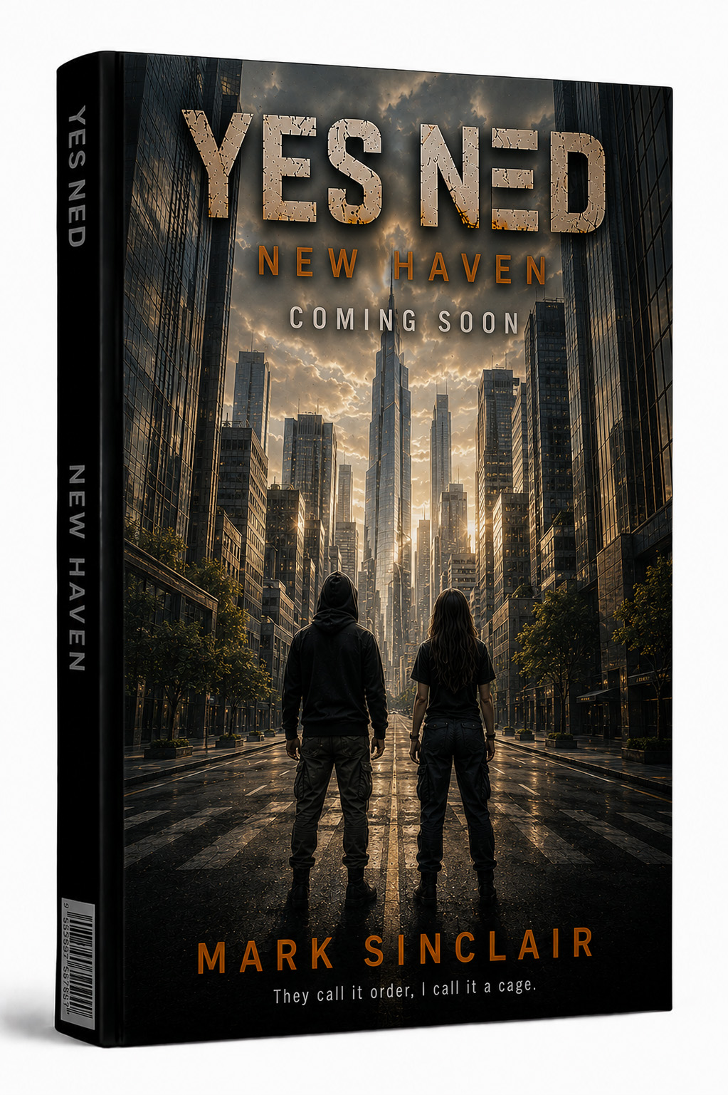 Yes Ned - New Haven book cover